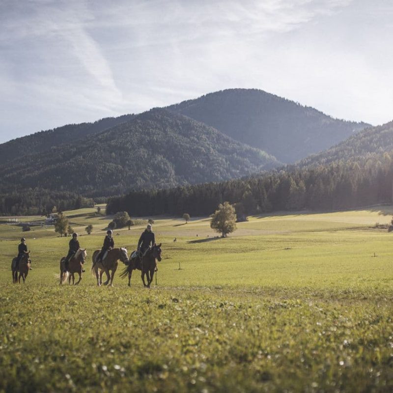 Olang kronplatz berge wandern dorf klettern reiten (1) Olang kronplatz berge wandern dorf klettern reiten (1)