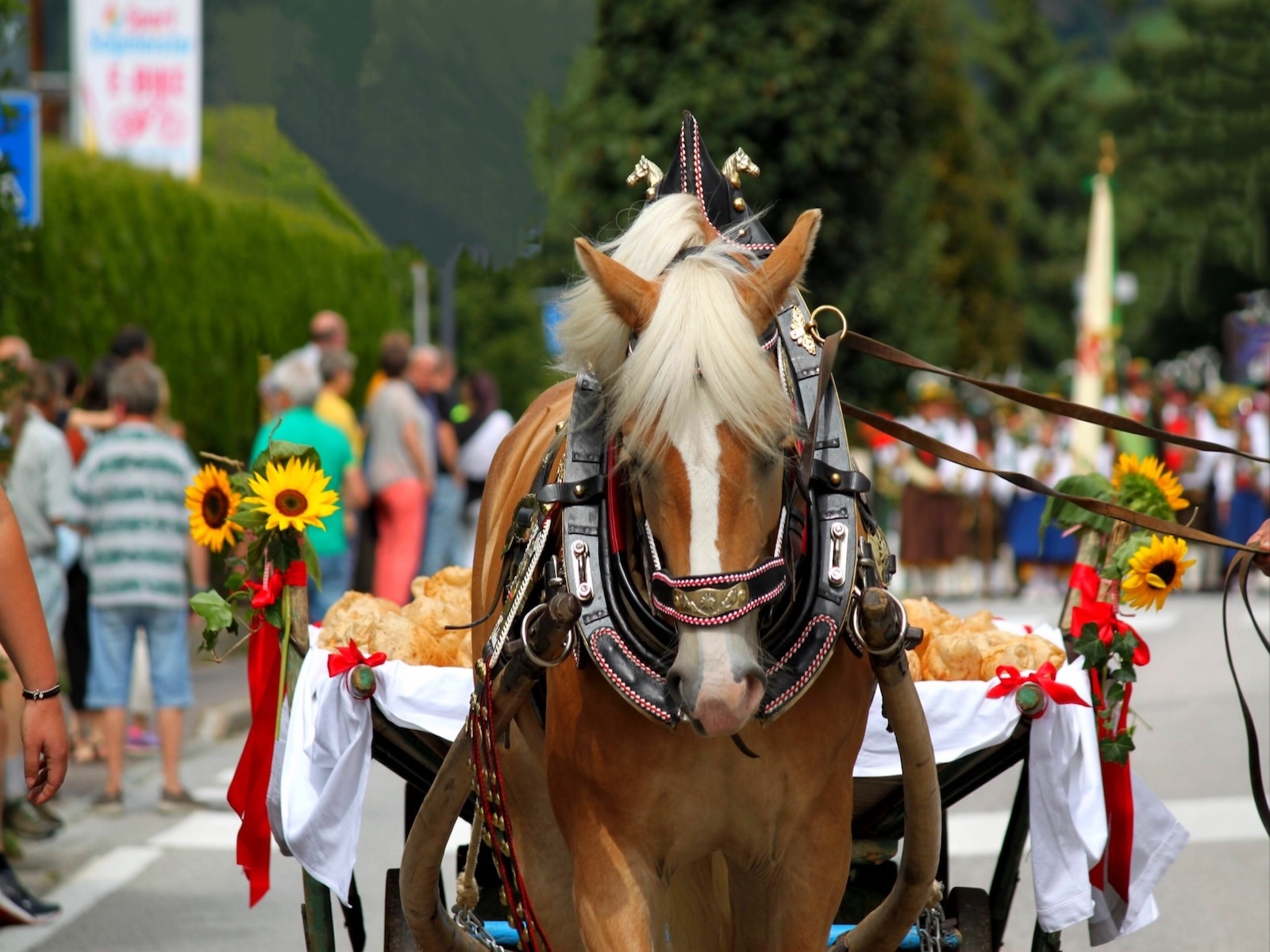 Polish 20230904 183046897