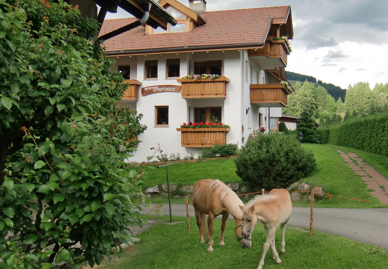 vm urlaub am bauernhof olang in suedtirol dolomiten pustertal 1 1 vm urlaub am bauernhof olang in suedtirol dolomiten pustertal 1 1