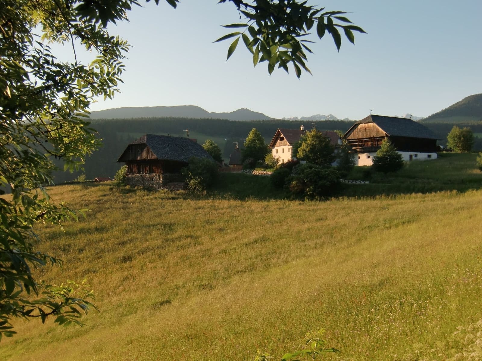 vordermoar bauernhofurlaub olang suedtirol dolomiten familienurlaub kronplatz pustertal ferienwohnung natururlaub kinderbauernhof erbhof 35