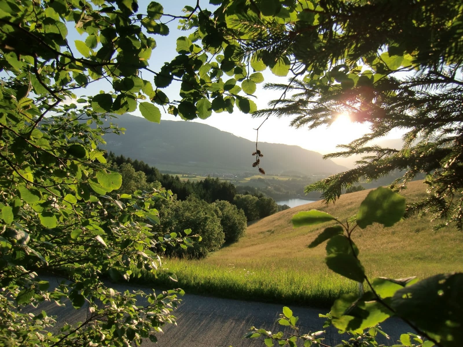 vordermoar bauernhofurlaub olang suedtirol dolomiten familienurlaub kronplatz pustertal ferienwohnung natururlaub kinderbauernhof erbhof 36