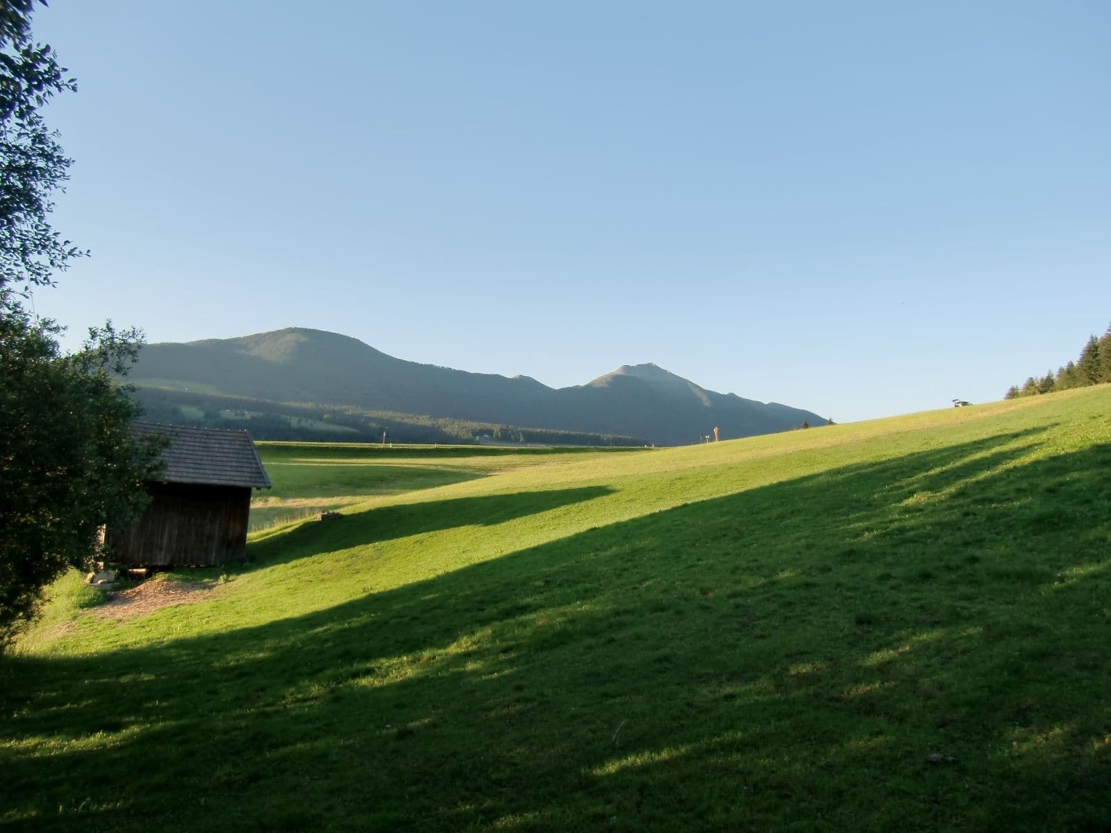 vordermoar bauernhofurlaub olang suedtirol dolomiten familienurlaub kronplatz pustertal ferienwohnung natururlaub kinderbauernhof erbhof 37